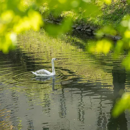 Klagenfurt Frank No2 - Free Parking, Smart-tv & Self Check-in Apartman *