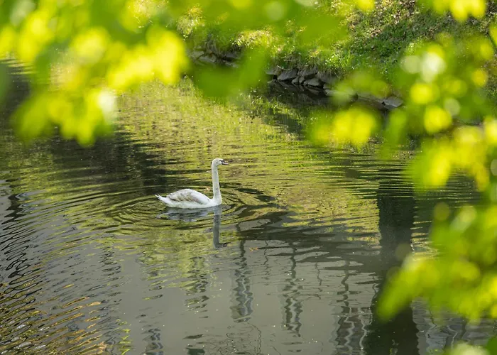Klagenfurt Frank No2 - Free Parking, Smart-tv & Self Check-in Lejlighed *